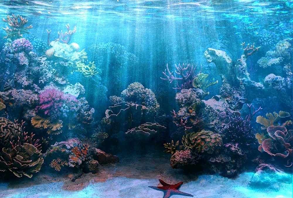 Nemo-Riff