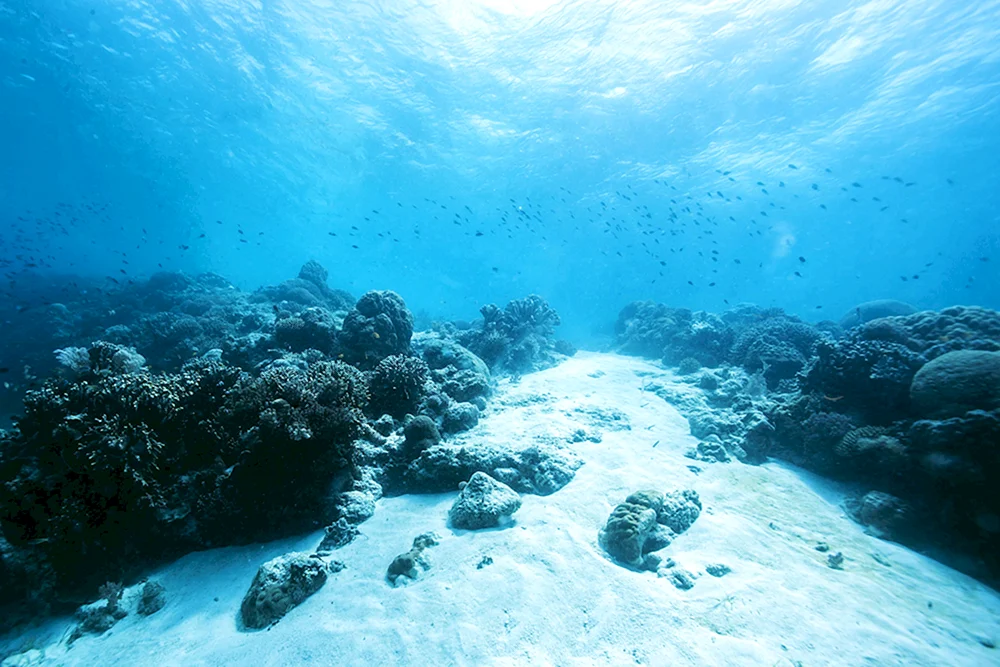Meer unter Wasser