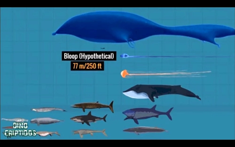 Bloop-Monster der Tiefe