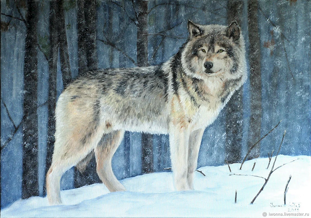 Mosbacher Wolf