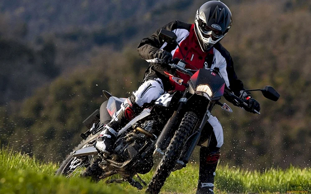 Davidson auf Motorrad