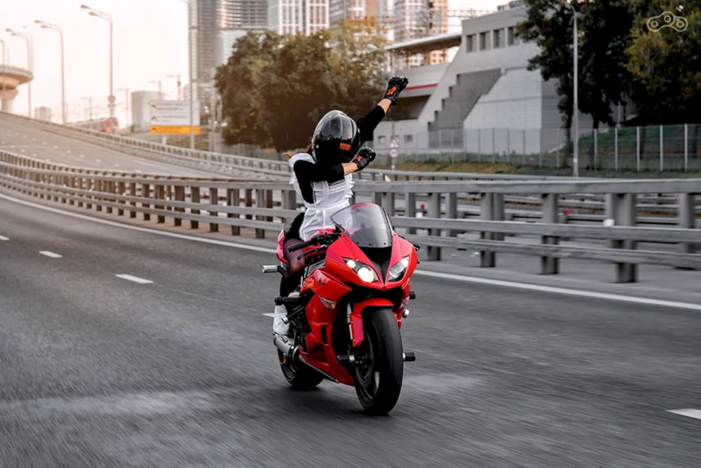 Kawasaki Motorrad Mototanya