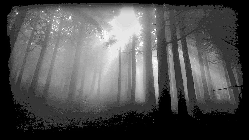 Desktop-Hintergrund Ästhetik dunkel