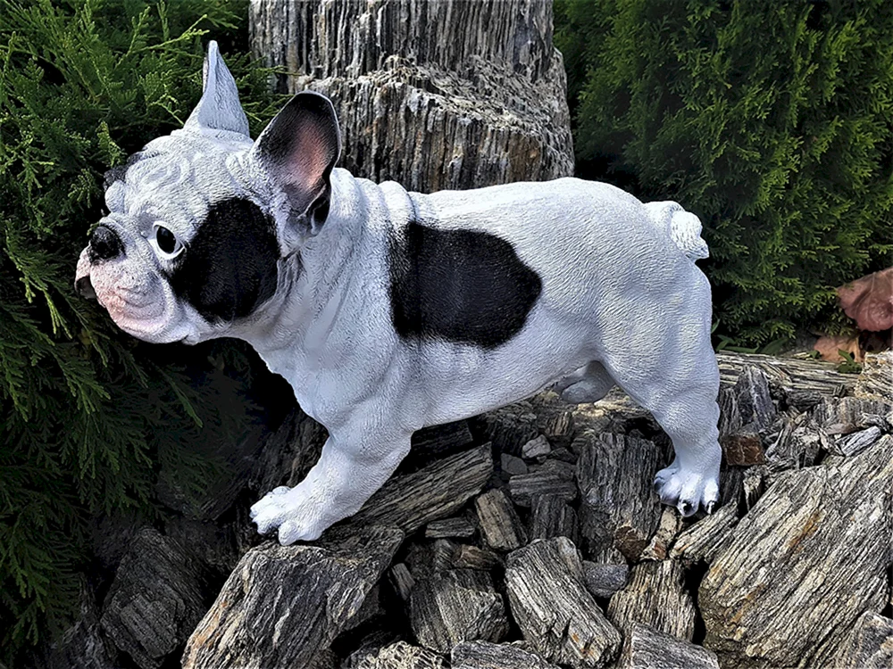 Marmorierte Bulldogge