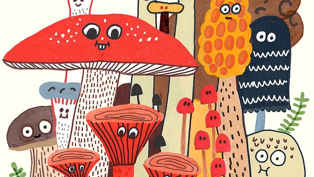 Pilz Zeichnung