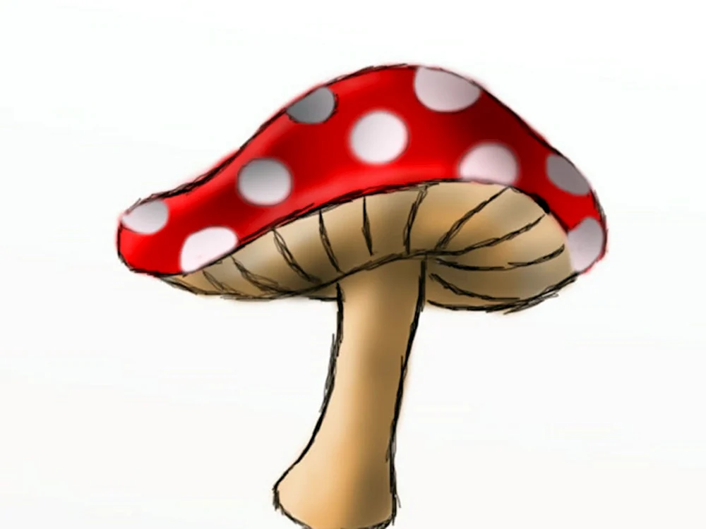 Pilz indie KID