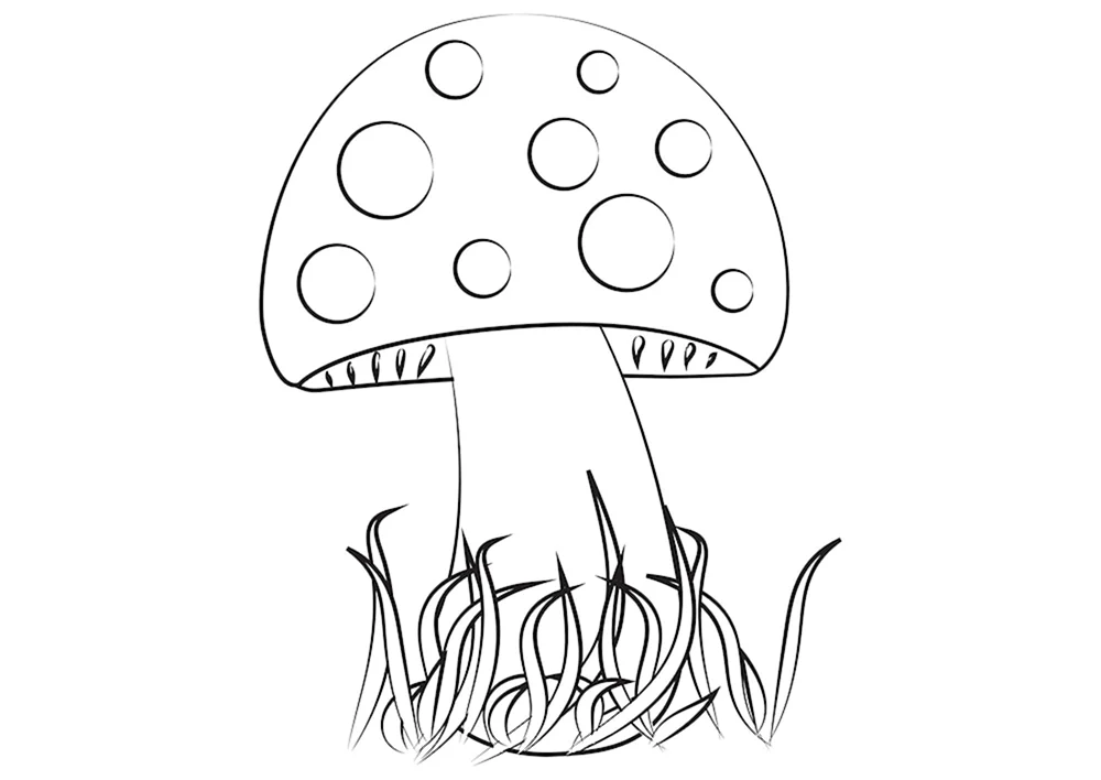 Fliegenpilz ausmalen