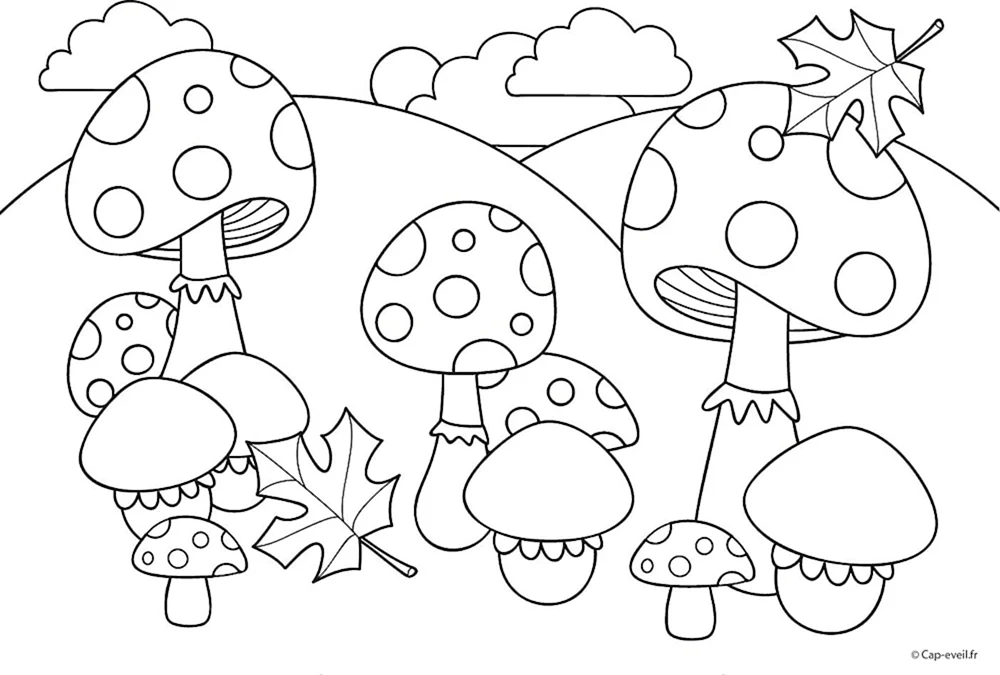 Pilz Ausmalen