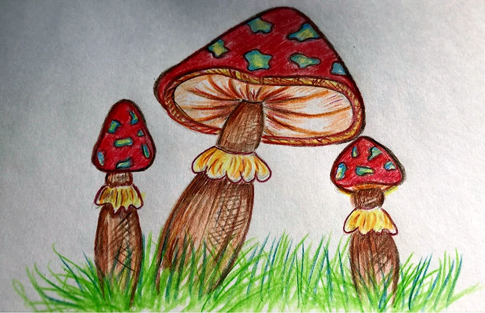 Pilz indie KID
