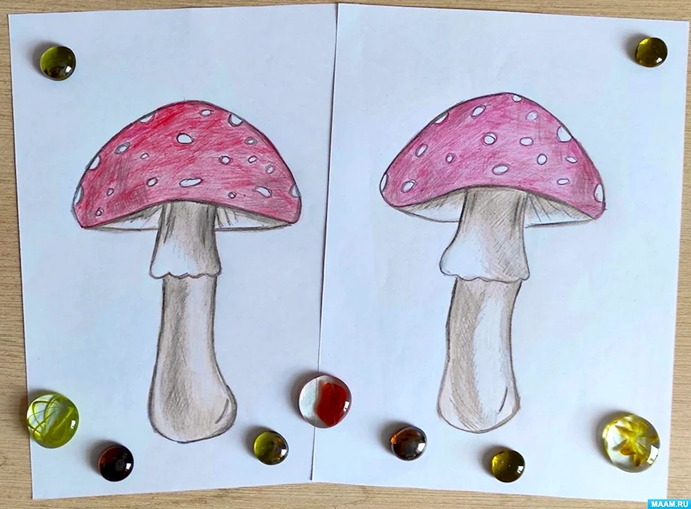 Pilzzeichnungen