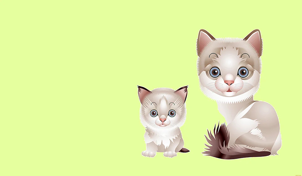 Multiatur Katzen