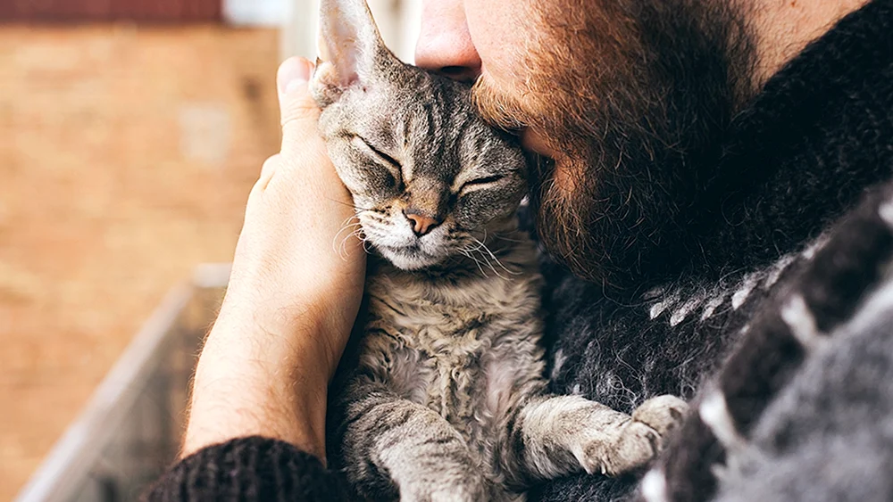 Mann umarmt Katze
