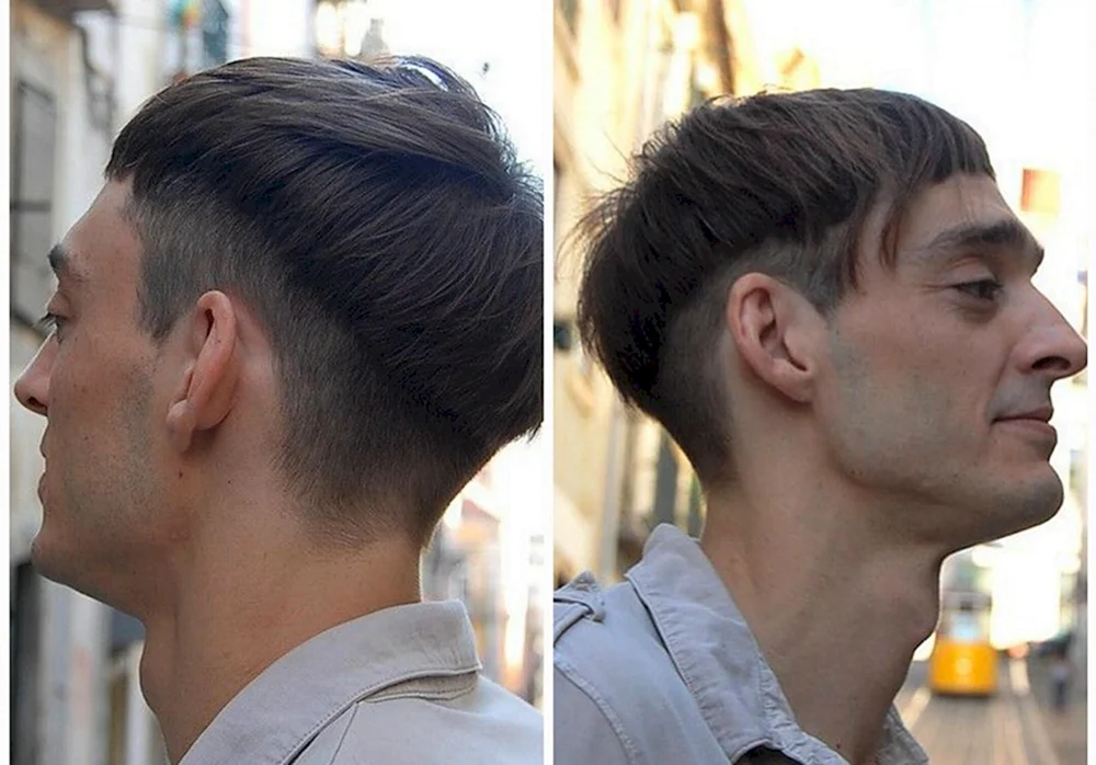 Haar