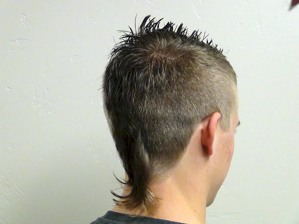 Mohawk hairstyles 2022 top- Igel zurück langes Haar