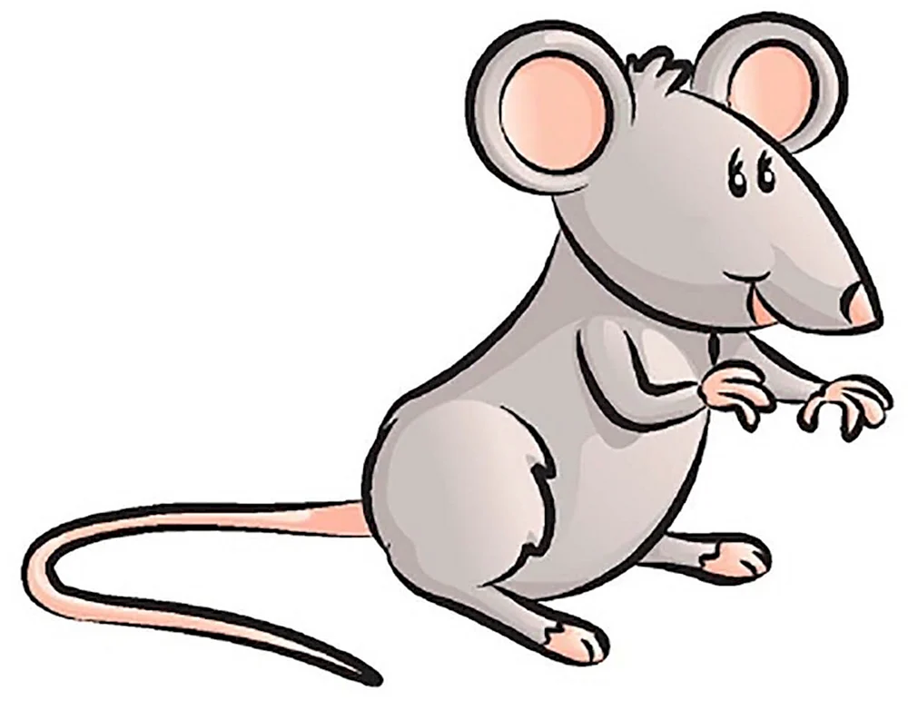 Maus für Kinder
