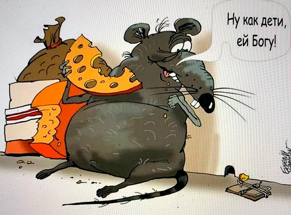 Ratten Ellen Van Dylen