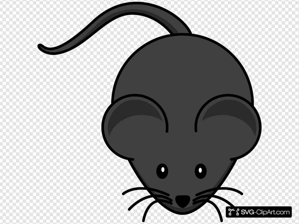 Maus Bild für Kinder