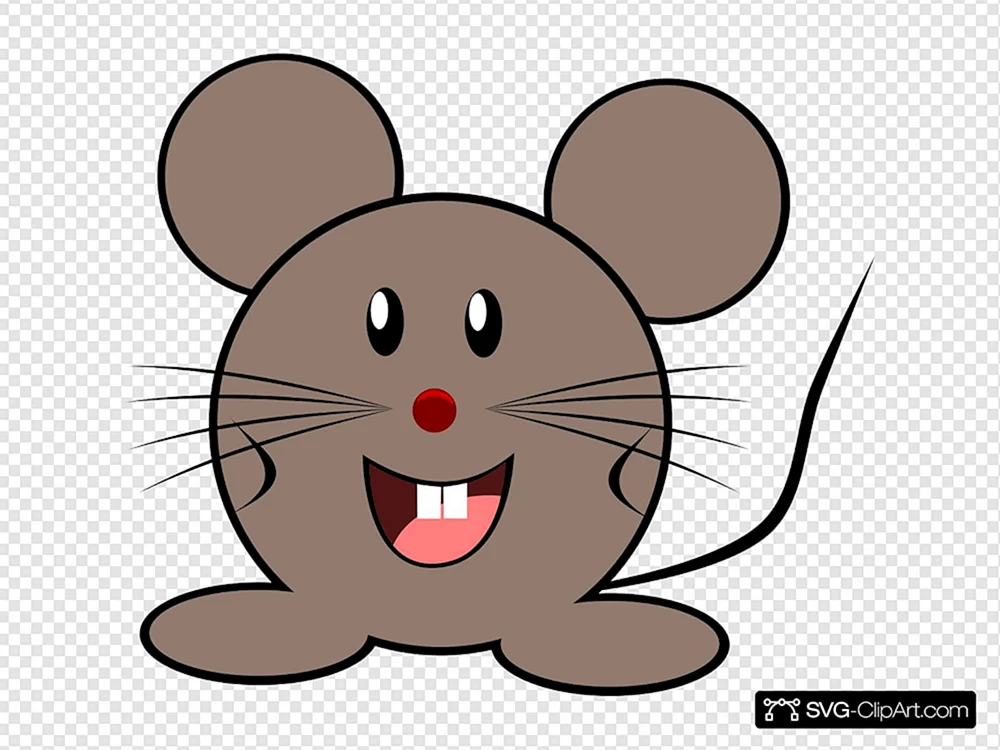 Maus Maus auf Käse