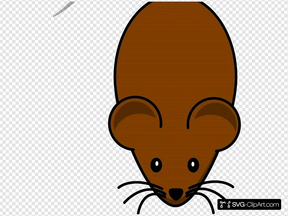 Maus Zeichnung