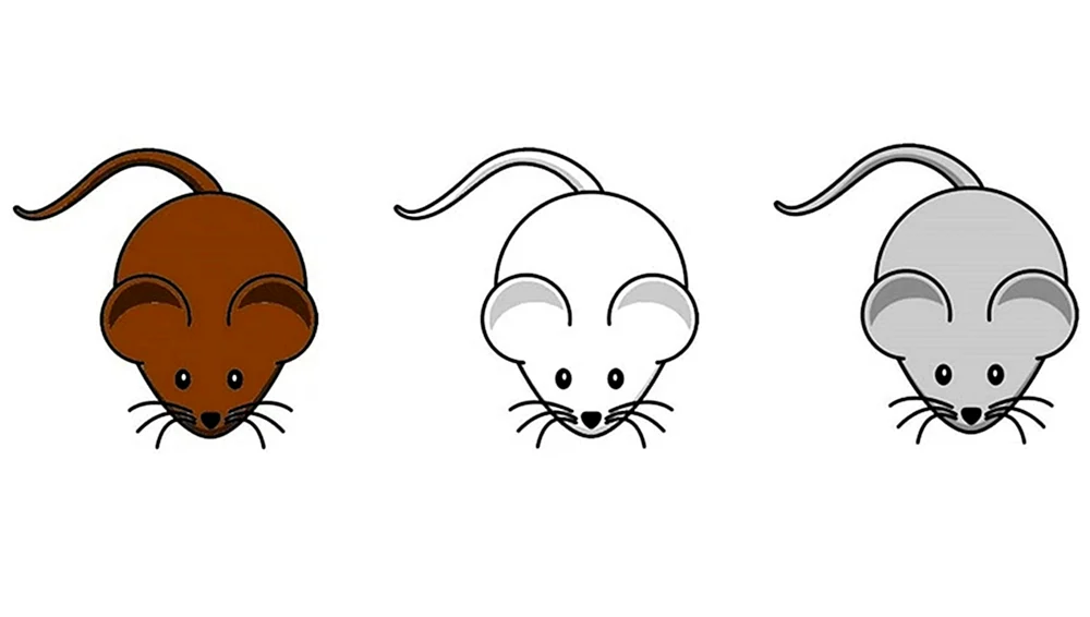 Maus Zeichnung