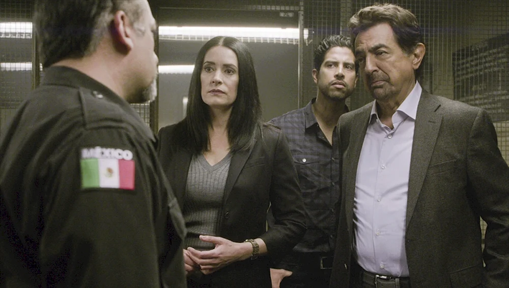 Emily Prentiss Criminal Minds 2005-2020