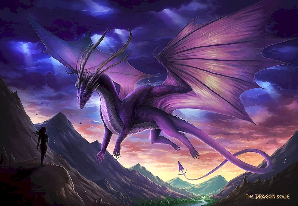 Naavir dragon