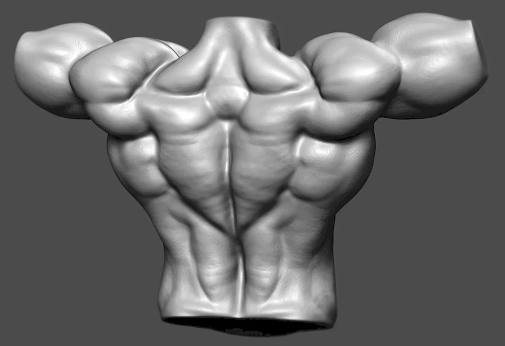 Ecorsche für Zbrush