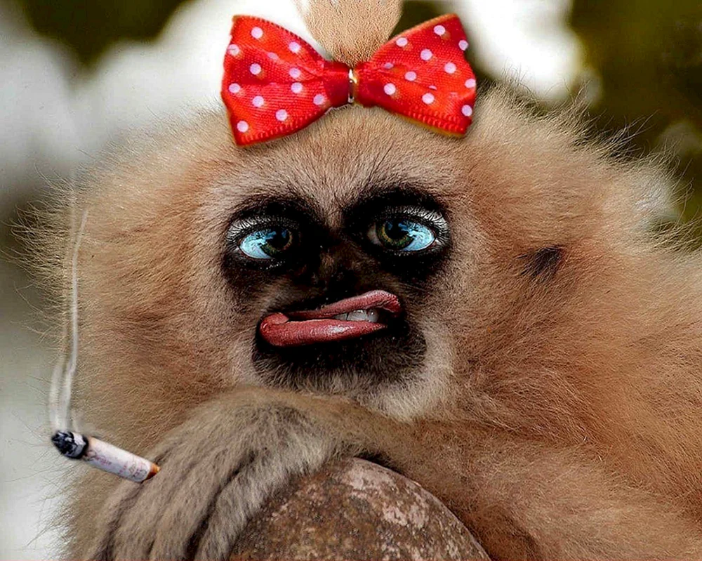 Bemalter Affe