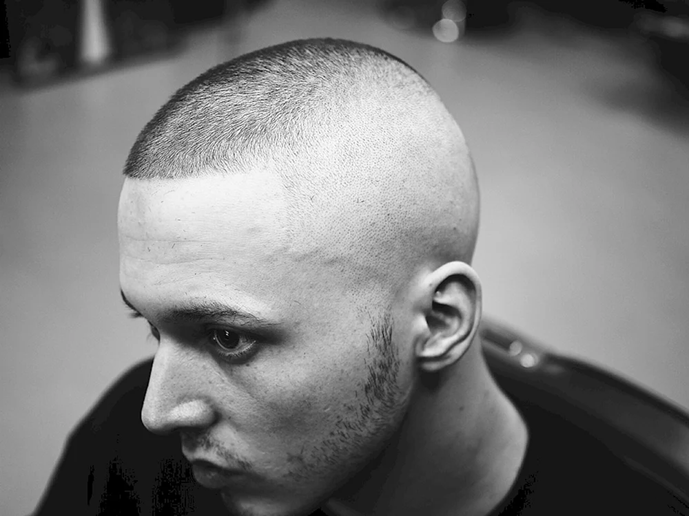 Colton Haynes Kurzhaarschnitt