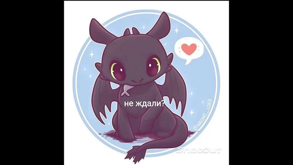 Naomi Lord Drache