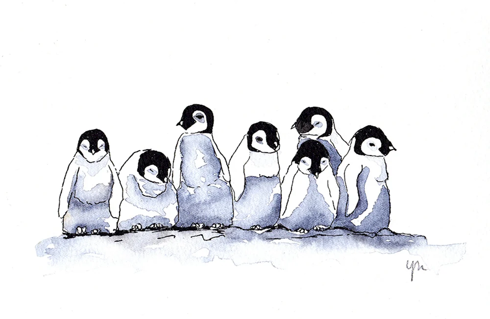 Naomi Lord Penguin