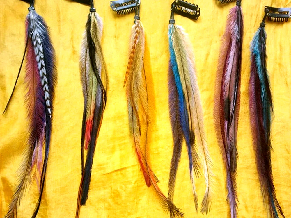 Federn im Haar