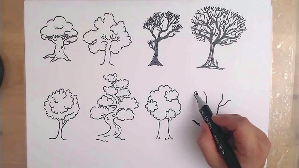Baum mit Bleistift zeichnen
