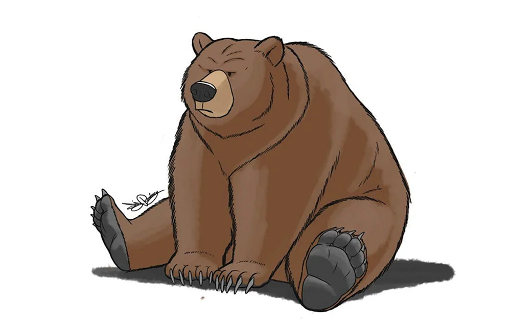 Bär zeichnen