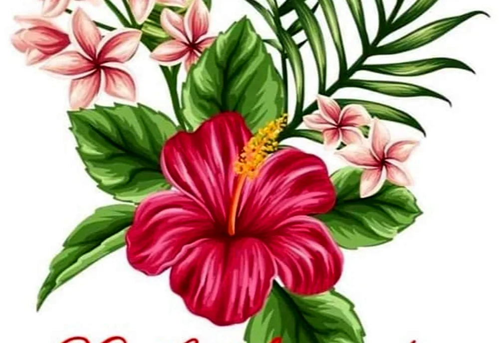 Blumen zeichnen