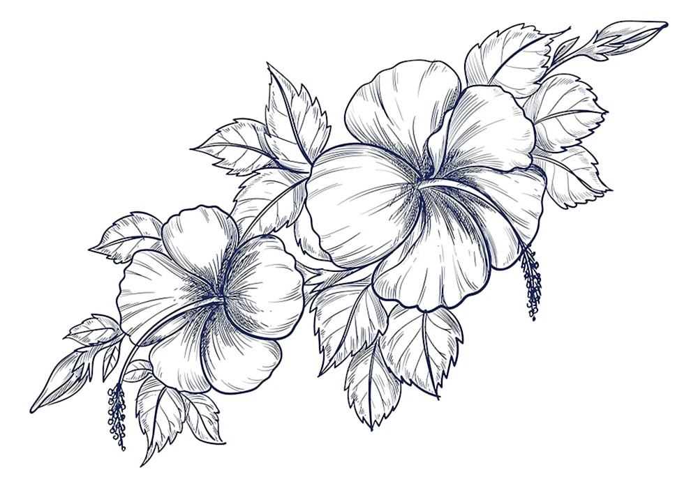 Blumen zeichnen