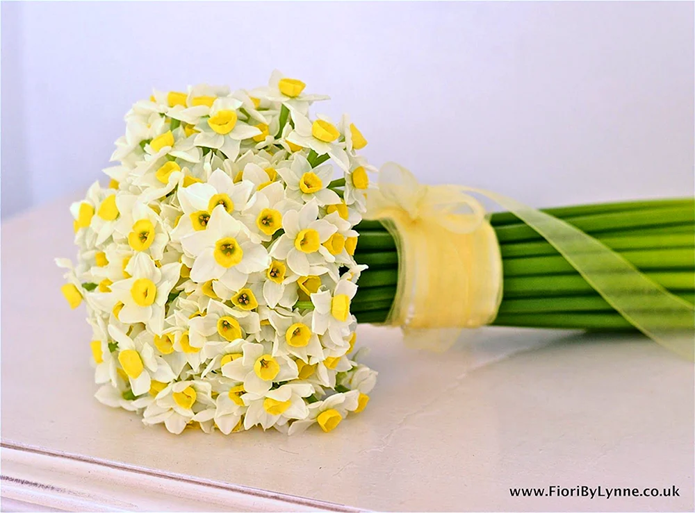 Narzissen Blumen Strauß