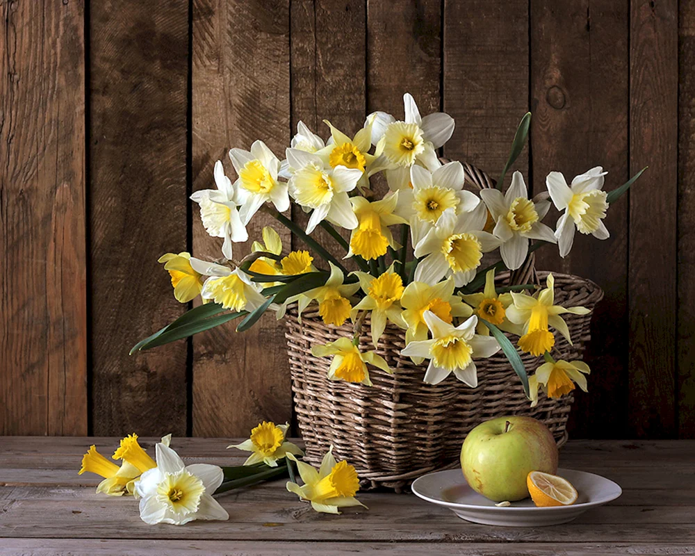 Iris Strauß Narzissen-Tulpe