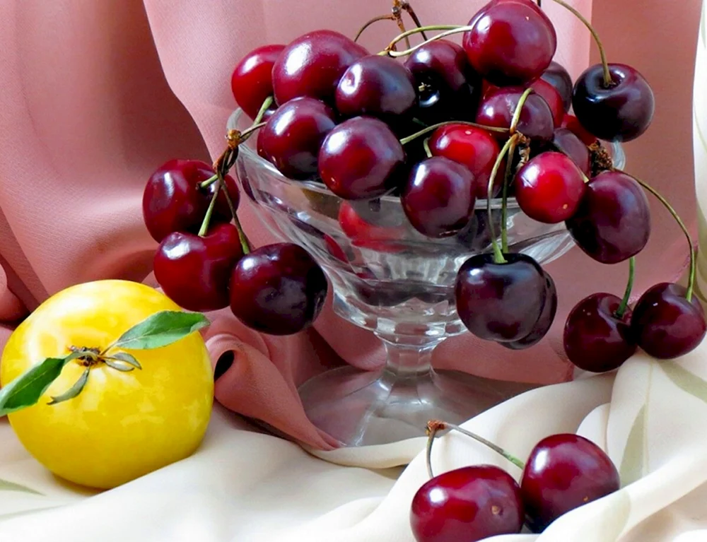 Ekaterina Kalinovskaya malt Beeren