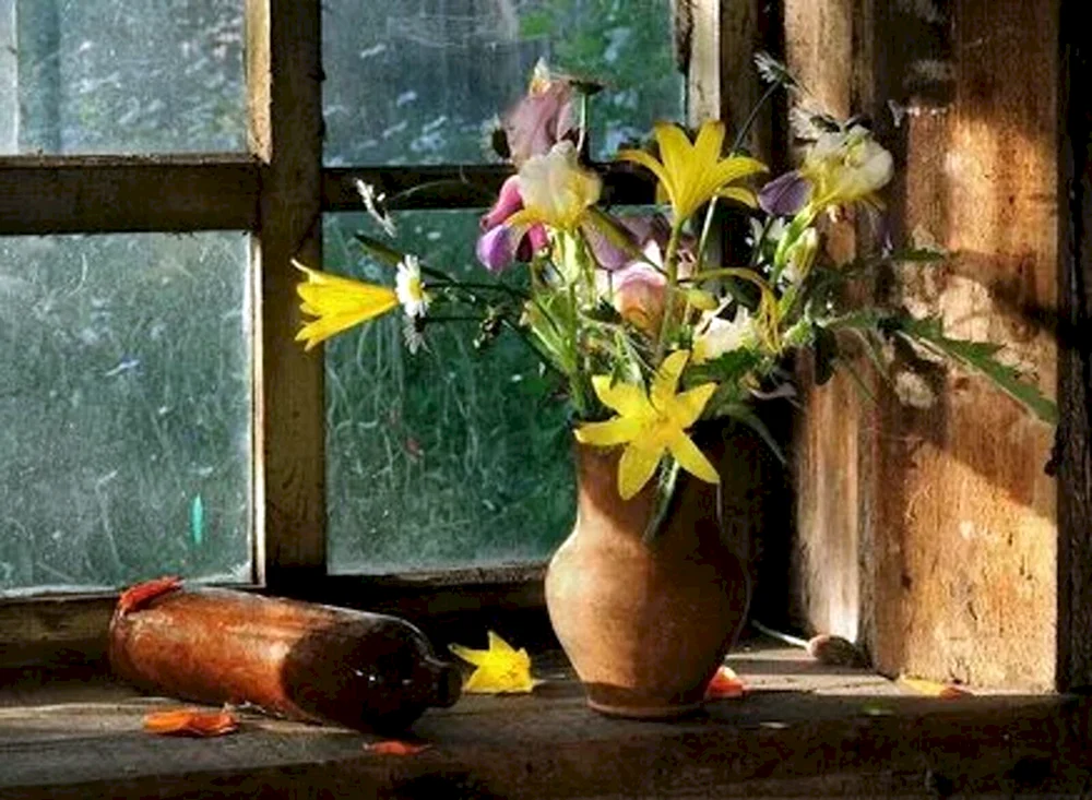 Stillleben am Fenster