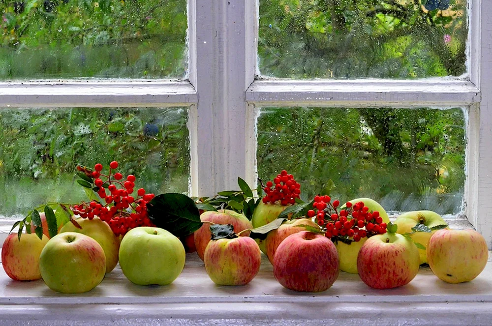 Fensterstilleben