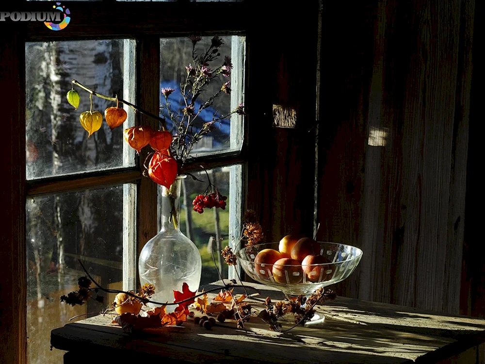 Fensterstilleben am Fenster