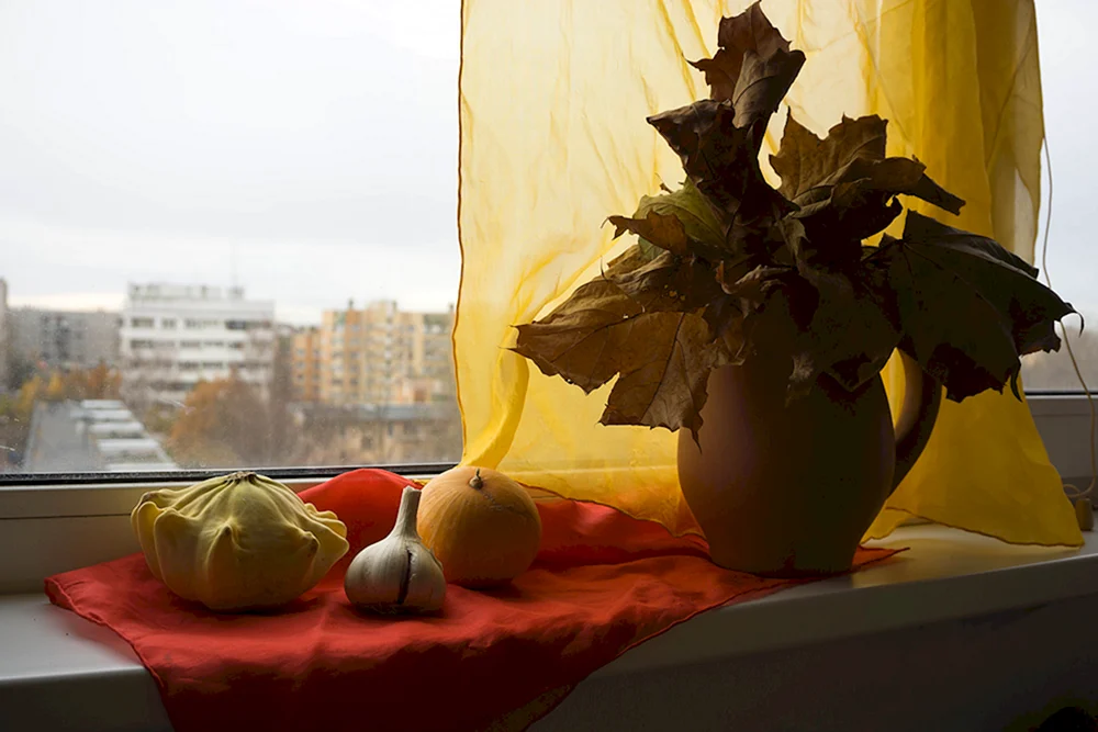 Stilleben am Fenster