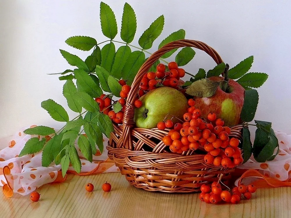 Naturstillleben mit Vogelbeere