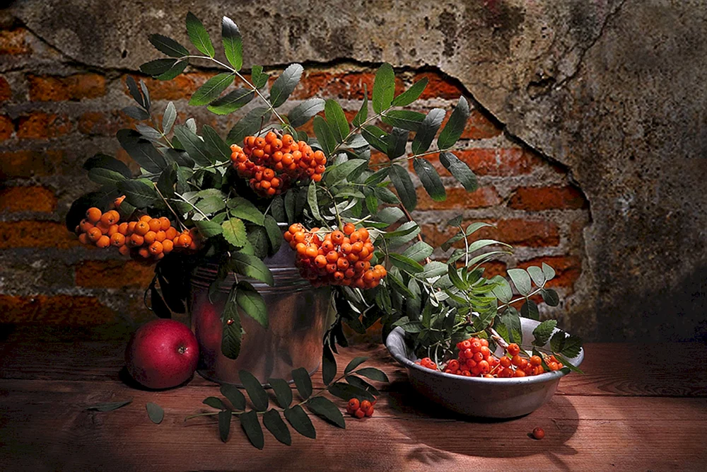 Herbststillleben von Margarita Epischina