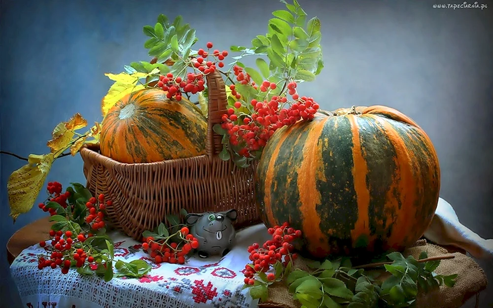 Kudrin Juri Beeren und Obst Privatsammlung