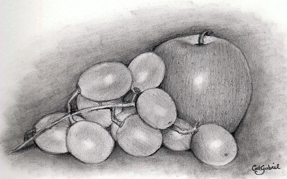 Bleistiftstillleben Yuri Kushevsky