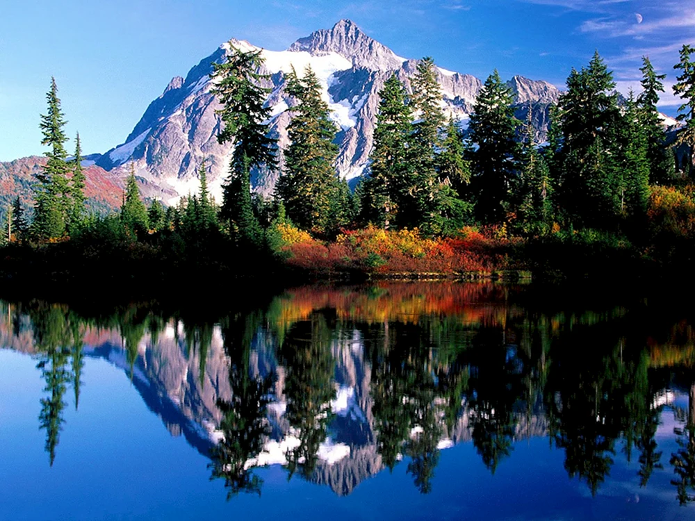 Mount Baker National Forest. QuelleWyoming