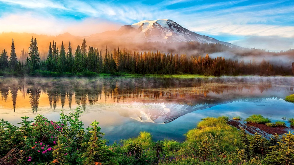National Park Mt. Rainier USA