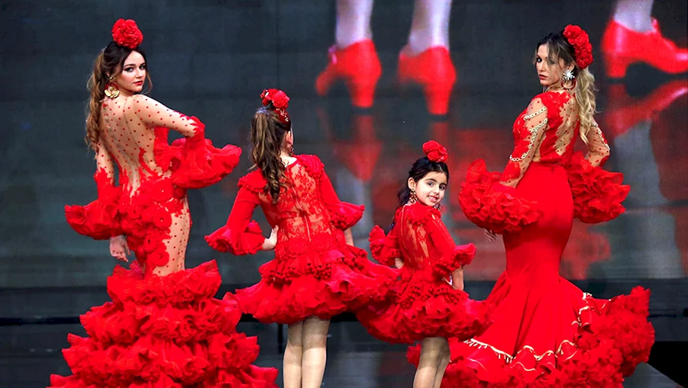 Flamenco-Foto HD